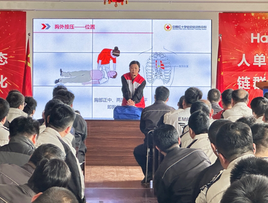 青岛头图.png